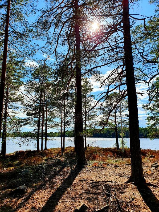 Schnieders2German Forest Room Harmånger 외부 사진